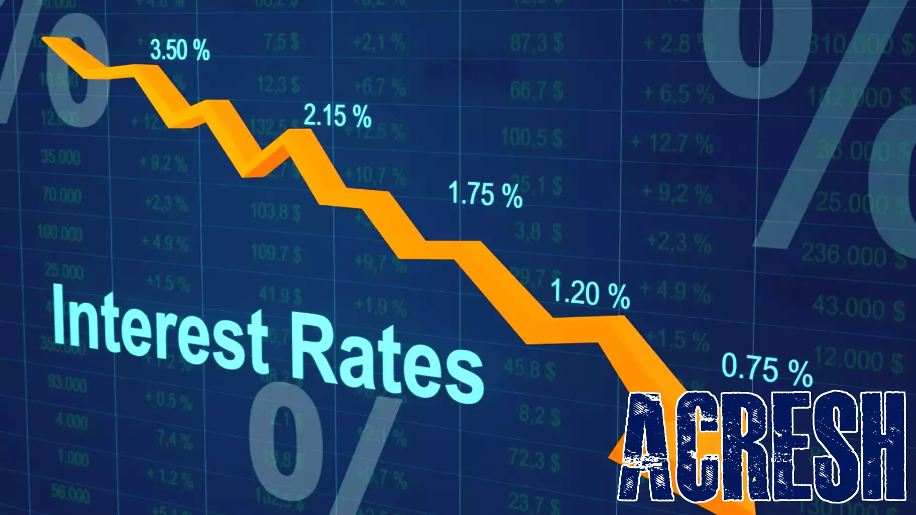 Will the Fed Reduce Interest Rates This Week? Insights and Predictions